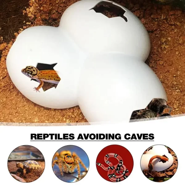 Egg Shape Simulation Rock Cave - Image 6