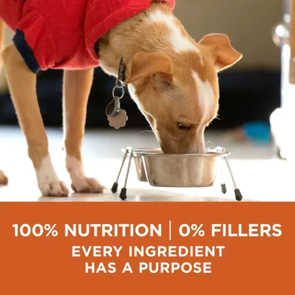 Purina One Plus Dry Formula 40lb - Image 6