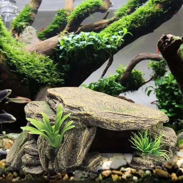 Turtle Reptile Habitat Hiding Caves - Image 3
