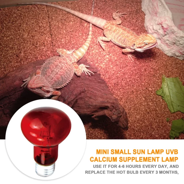 UVA Heating Light Bulb - Image 3