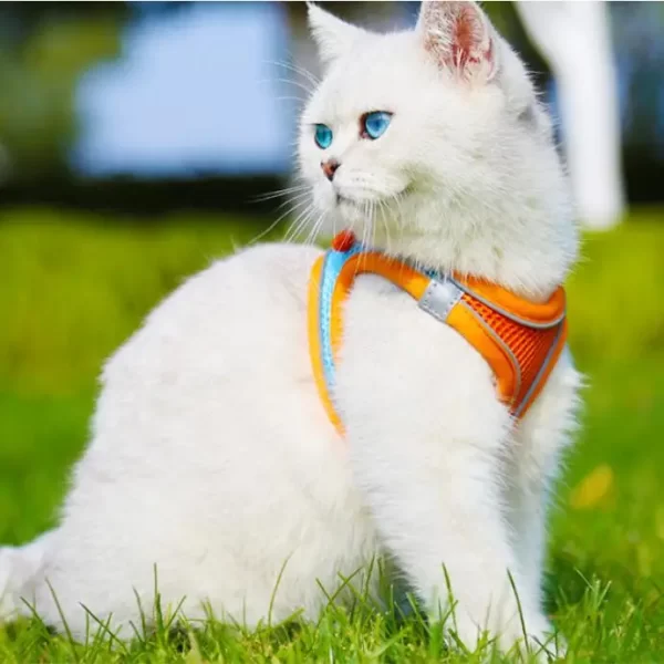 Reflective Adjustable Vest Harness Strap & Leash