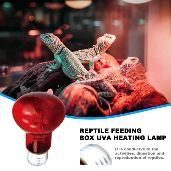 UVA Heating Light Bulb - Image 2