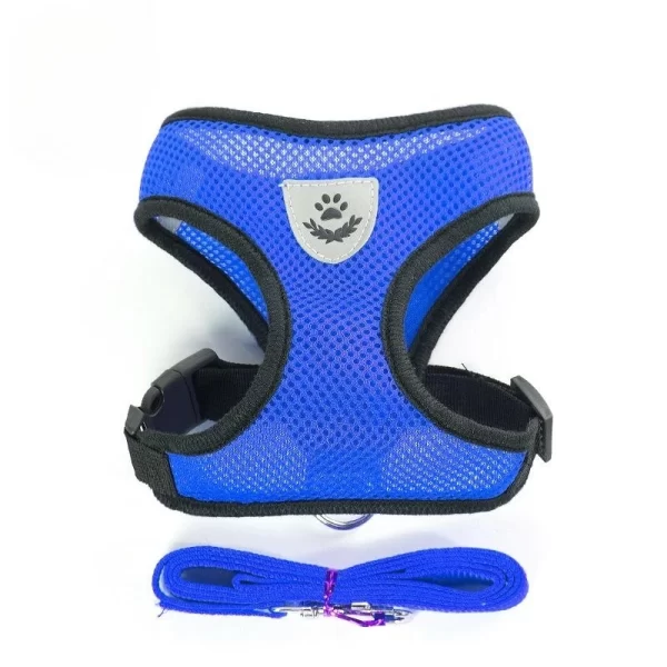Cat Harness & Leash