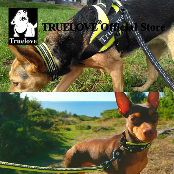 Truelove Pet Dog Collar Nylon Adjustable Webbing Padded Soft Reflective Durable Heavy Duty Training Custom Luxury Cat TLC5011 - Image 6