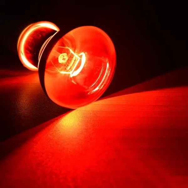 LED UVA Infrared Heat Lamp - Image 3