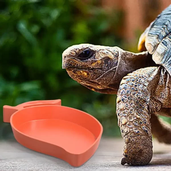 Mango Shape Reptile Feeder - Image 5