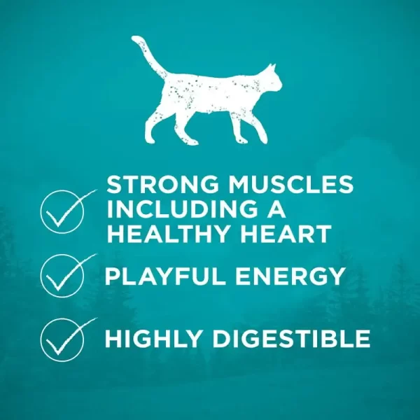 True Instinct Dry Cat Food Chicken, Grain-Free, 14.4 lb Bag - Image 4