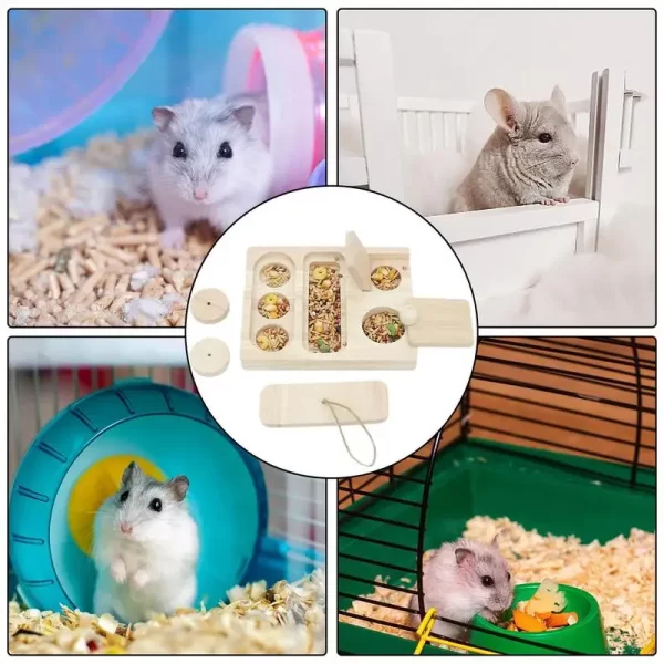 Multi-Grid Hamster Feeding Bowl - Image 5