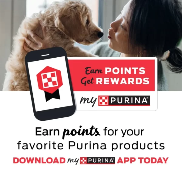 Purina Beneful Dry Dog Food for Adults Healthy Weight, Farm Raised Chicken, 28 lb Bag - Image 2
