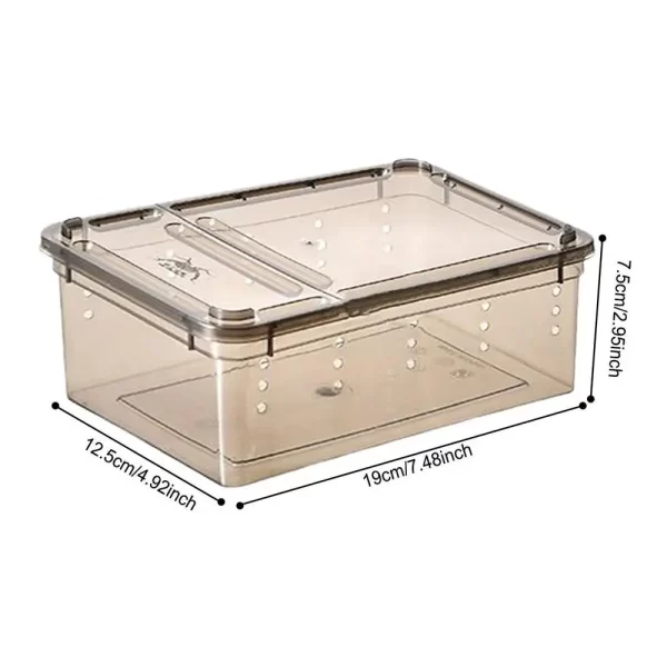 Terrarium For Reptiles - Image 7
