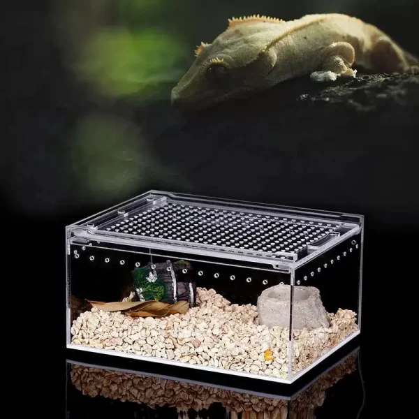Transparent Acrylic Box - Image 5