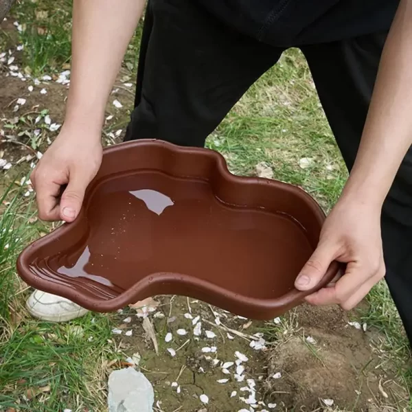Turtle Feeding Dish - Image 4