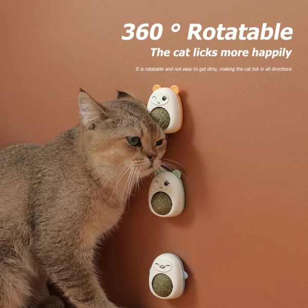 Plastic Catnip Ball Natural Safe Cats Catnip Balls Toy with Transparent Cover Cats Teeth Cleaning Catnip for Pet Treats Supplies - Image 2