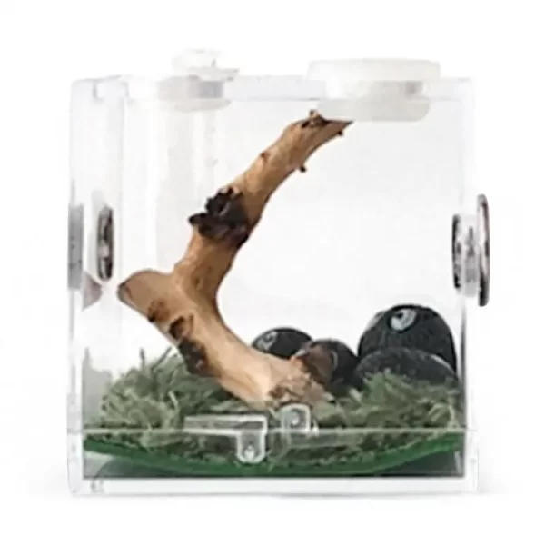 Reptiles Breeding Box