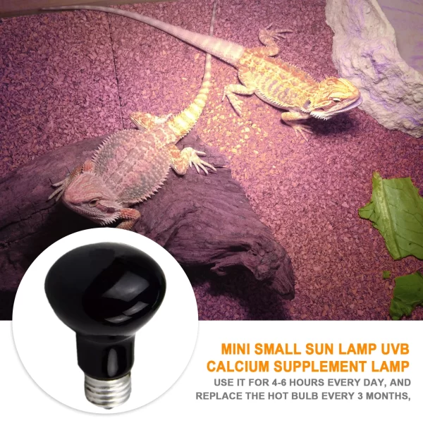 UVA Heating Light Bulb - Image 5
